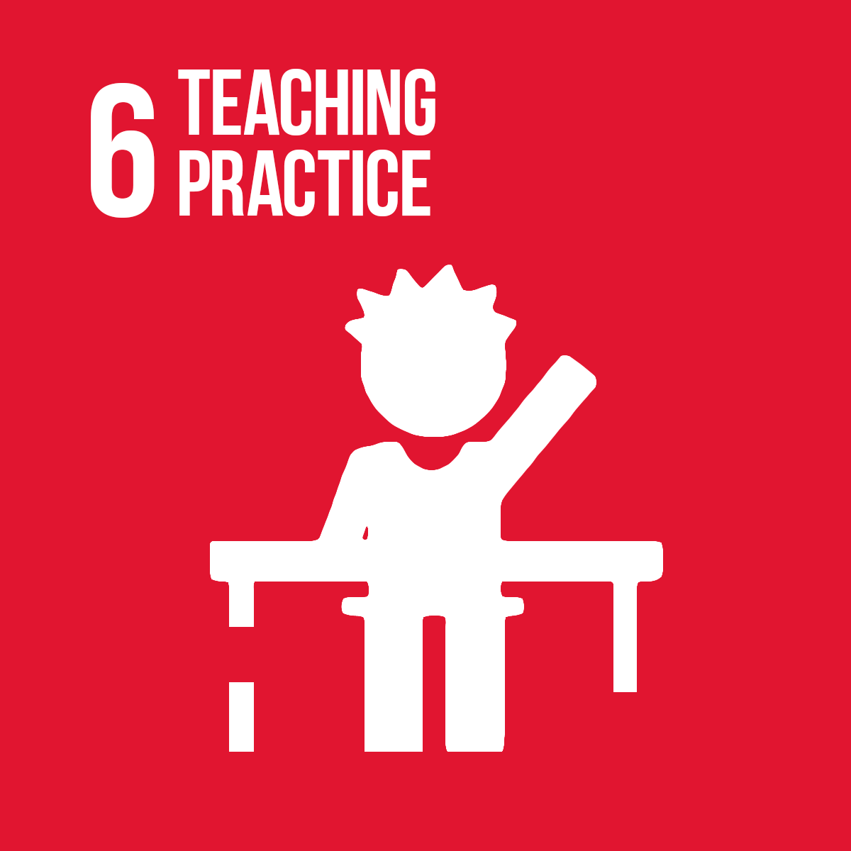 DNS offers a non-traditional bachelor of pedagogical science