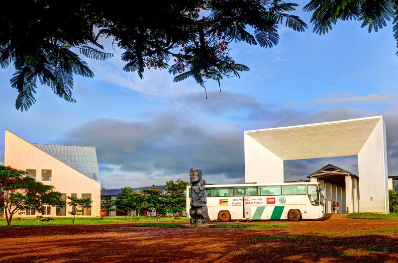 DNS The Necessary Teacher Training College - still a non-traditional university - recognition DNS