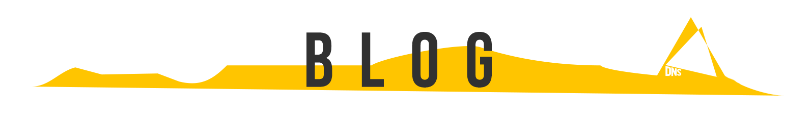 logoo - DNS The Necessary Teacher Training College
