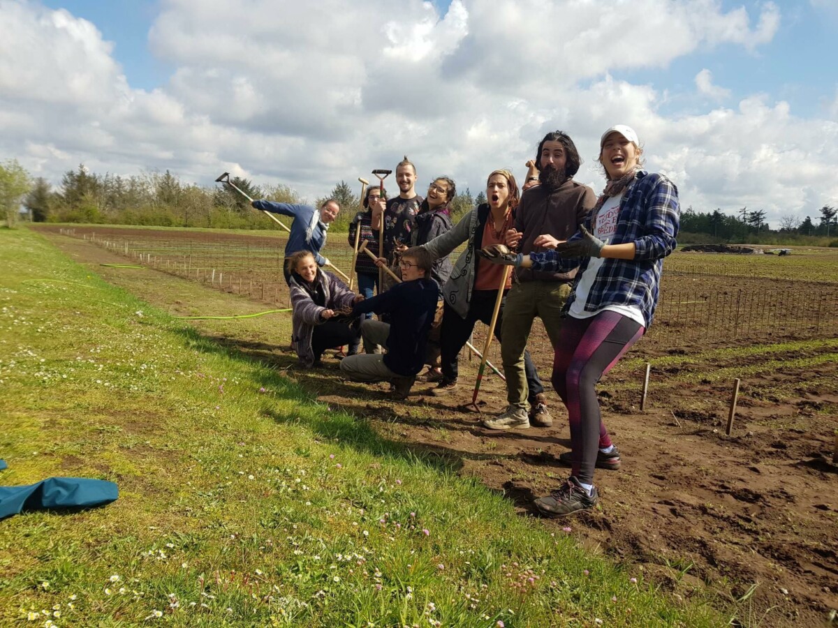 The images represent one of the efforts we practice at DNS to fight the Climate Crisis: school gardening and reconnection with Nature. 