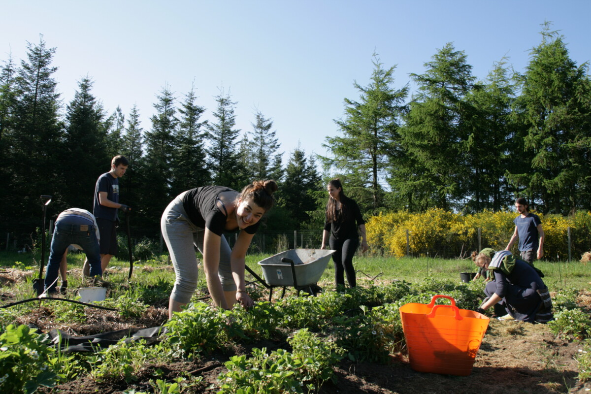 The images represent one of the efforts we practice at DNS to fight the Climate Crisis: school gardening and reconnection with Nature. 