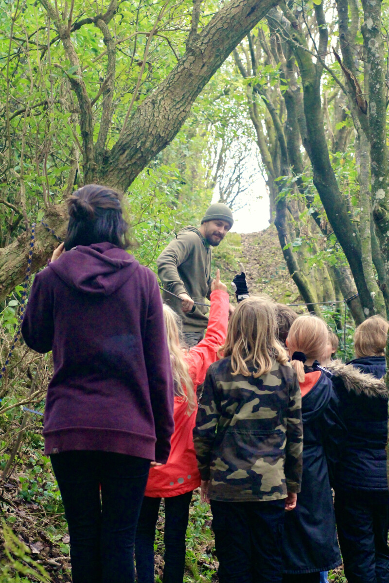 The images represent one of the efforts we practice at DNS to fight the Climate Crisis: school gardening and reconnection with Nature. 