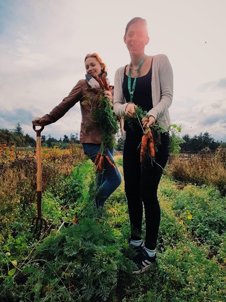 The images represent one of the efforts we practice at DNS to fight the Climate Crisis: school gardening and reconnection with Nature. 